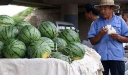 安溪网红吃瓜事件视频最新,揭秘背后真相与网络热议