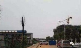 武汉江夏最新爆料,揭秘武汉江夏区最新动态与热点事件